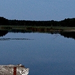 Etang vieux de Brenne IMG_3336